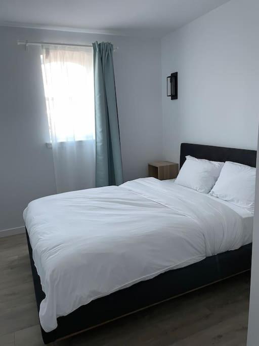 871 Shefford Suite 207 3Chambres بورمونت المظهر الخارجي الصورة